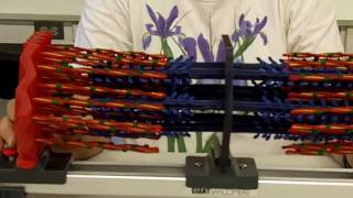 Sliding Filament Sarcomere [upl. by Assener807]