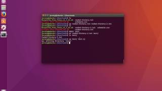 Linux Basics How to Copy Files and Directories [upl. by Mead]