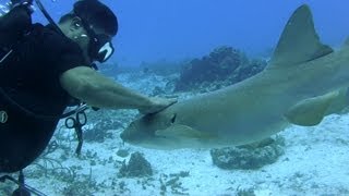 Cozumel Scuba Diving [upl. by Amado937]