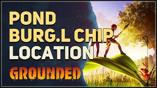 Pond BURGL Chip Location Grounded [upl. by Wershba]