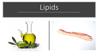 An Introduction to Lipids [upl. by Riti287]