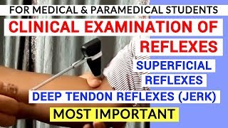 REFLEXES EXAMINATION  CLINICAL LAB  PHYSIOLOGY PRACTICALS [upl. by Hobie]