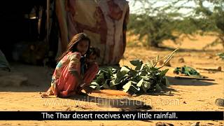 Thar  The Great Indian Desert [upl. by Suu]