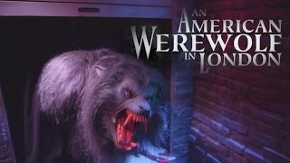 American Werewolf in London COLOR Halloween Horror Nights 2014 Universal Studios Hollywood [upl. by Gracye976]