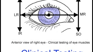 Clinical testing extraocular muscles tutorial [upl. by Mahgirb]