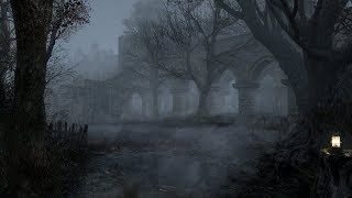 Haunted Forest Sounds  Ghostly Murmurs  1 Hour [upl. by Atinej]