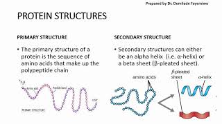 Chapter 23 Biological Molecules  Proteins [upl. by Ulric]