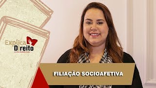 Explica Direito Filiação Socioafetiva  2019 [upl. by Ayhtnic]