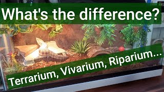 Differences between terrarium riparium vivarium etc [upl. by Khanna]