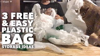 Kitchen Hacks 3 Free amp Easy DIY Plastic Bag Storage Ideas [upl. by Shah849]