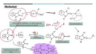 Ninhydrin and Biuret Test [upl. by Gaudet788]