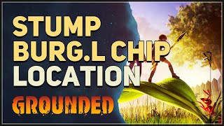 Stump BURGL Chip Location Grounded [upl. by Etteinotna859]