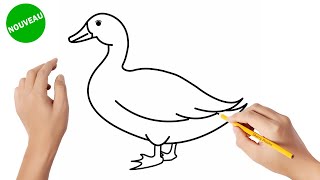 Comment dessiner un canard [upl. by Kapoor]