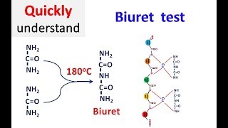 Biuret test [upl. by Onaicilef]