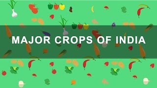 Major Crops of India  Rabi Kharif Zaid crops  Indian Agriculture Geography [upl. by Hanan445]