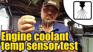 How to test an Engine Coolant Temp sensor ECT 1204 [upl. by Prospero413]