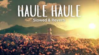 Haule Haule  Sukhwinder Singh slowed amp reverb [upl. by Yentruocal514]