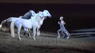 Liberty with 3 horses  Sylvia Zerbini  Night of the Horse 2016  Del Mar National Horse Show [upl. by Algar]