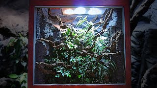 Reptile Vivarium Build Breakdown  Technical Details and Build Process Explained [upl. by Nnylrahc]