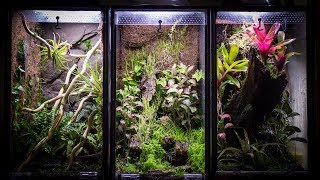 Aquarium to 10 Gallon Vertical Vivarium [upl. by Carmelle479]