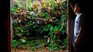 Giant DIY 600 Gallon Jungle Vivarium [upl. by Ahsemac776]