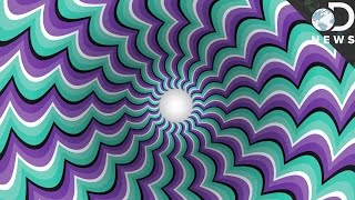 How Optical Illusions Trick Your Brain [upl. by Enhpad]