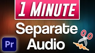 How to Separate Audio From Video  Adobe Premiere Pro [upl. by Parthinia29]