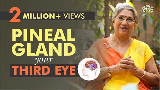 Take Care of your Pineal Gland by doing this  Dr Hansaji Yogendra [upl. by Atika]