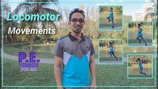 Locomotor movements explained [upl. by Llevra]