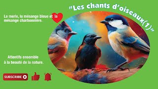 les chants doiseaux 1 [upl. by Hakceber905]