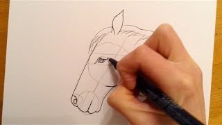 Beginners Lesson  How To Draw A Horse [upl. by Ociredef]