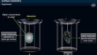 Adsorption amp Absorption  Experiment [upl. by Lenoj327]