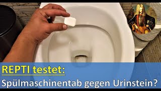 Repti testet Spülmaschinentab gegen Urinstein [upl. by Abrahan]