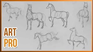 How to draw HORSES step by step 🐎 METHOD [upl. by Aramad]