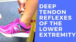 Deep Tendon Reflexes of the Lower Extremities [upl. by Naillimixam]