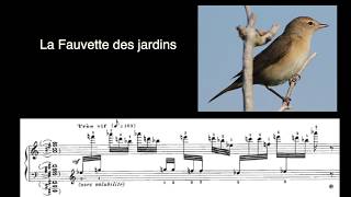 Les chants doiseaux du CATALOGUE DOISEAUX dOlivier Messiaen [upl. by Kellsie]