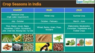 Cropping Seasons In India  Kharif Rabi Zaid [upl. by Karlens891]