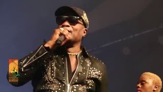 Koffi Olomide performs Effrakata Live at The Koroga Festival [upl. by Oleta]