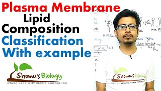 Plasma membrane lipid composition [upl. by Addiel]