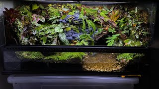 PALUDARIUM TUTORIAL  Step by step [upl. by Tucker804]