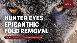 Hunter Eyes  Epicanthic Fold Removal  Powerful Subliminal [upl. by Bart358]