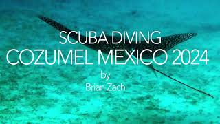 Scuba Diving Cozumel Mexico 2024 [upl. by Peednama]