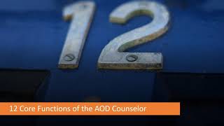 Addictions Counselor Core Skills Part I The 12 Core Functions [upl. by Waldemar985]