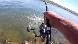 How To Catch HUGE Catfish From The Bank [upl. by Ave]