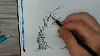 comment dessiner un arbre [upl. by Elwyn]