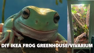 DIY IKEA GreenhouseVivarium for Whites Tree Frogs [upl. by Ulane]