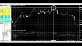 How To Measure Pips On MT4 Meta Trader 4  Forex Trading Tutorial [upl. by Ollehcram422]