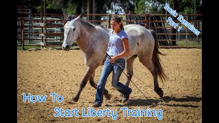 How To Start Liberty Training With Your Horse Basic Exercises Part 1 [upl. by Drofub]