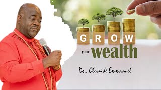 GROW YOUR WEALTH  DR OLUMIDE EMMANUEL [upl. by Stinson]