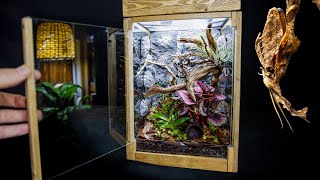 Bioactive Ghost Mantis Vivarium w Realistic DIY Background pt2 [upl. by Akimak]